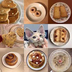 a collage of pictures with different foods and desserts on them, including pancakes, cookies, doughnuts, cats