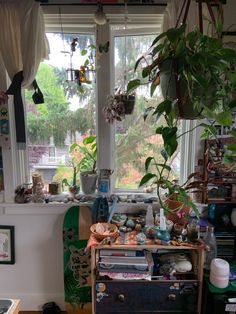 a living room filled with lots of plants next to a window covered in clutter