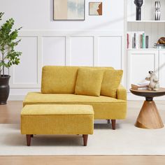 a living room scene with focus on the sofa and chair, coffee table and potted plant