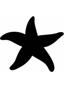 a starfish silhouetted against a white background