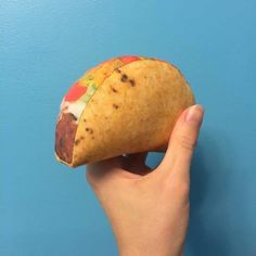 a hand holding up a taco that looks like it has been bitten off the side