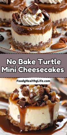 no bake turtle cheesecakes with chocolate and pecans