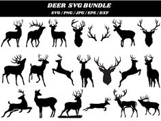 deer silhouettes and antlers with different poses for each animal to be drawn on