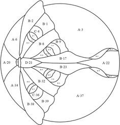 a coloring page with an image of a butterfly in the center and numbers on it