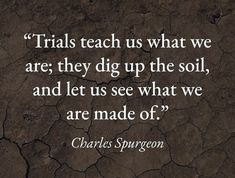 a quote from charles spurson on the soil