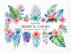 watercolor tropical clipart with flowers and leaves