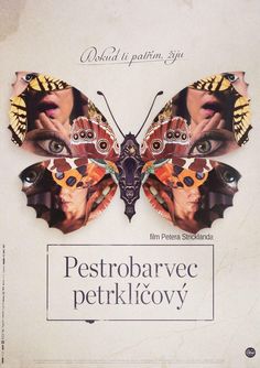 an advertisement for petrobarve petrifiovy with butterflies on it