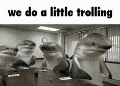 a group of people sitting at desks in front of computer monitors with the caption we do a little trolling