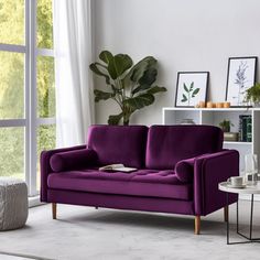 a living room with purple couches and white rugs on the floor in front of a large window