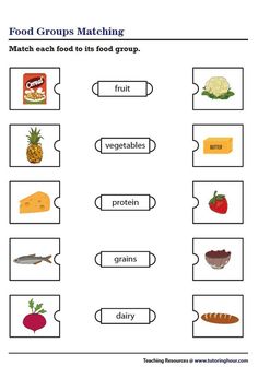 food groups matching worksheet