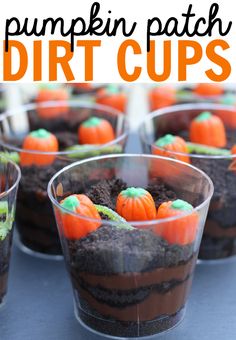 several cups filled with dirt and fake pumpkins