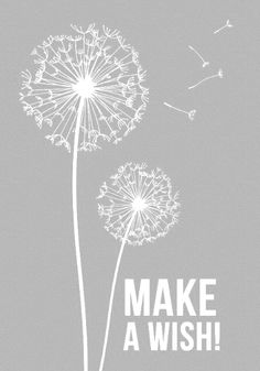 a dandelion with the words make a wish written on it in white ink