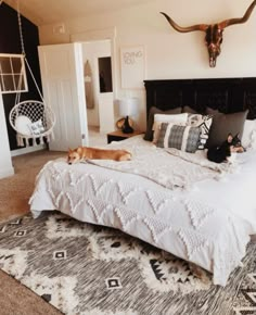 a dog laying on top of a white bed in a bedroom next to a cow skull