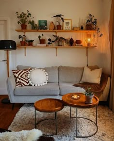 a living room filled with lots of furniture and plants on top of shelves above the couch