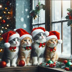 three kittens wearing christmas hats and bows sit on a window sill in front of a christmas tree