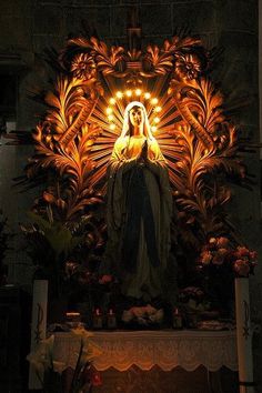 an image of the virgin mary statue lit up at night in front of a altar