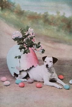 a dog laying on the ground next to a vase with flowers and eggs in it