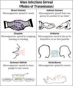 four different ways to describe the effects of transstition in children's hands