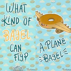 an airplane with the words what kind of bagel can fly?