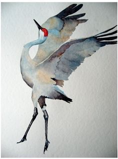 watercolor painting of two cranes flying in the air with their wings spread wide open