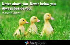 three little ducks sitting in the grass with a quote from walter winchel on it