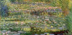 a painting of water lilies and other flowers