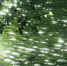 the sun shines through leaves over water with ripples on it's surface