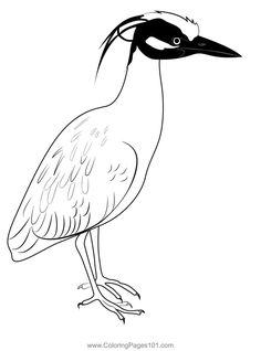 a black and white drawing of a bird with long legs, standing on one leg