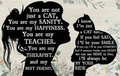 two silhouettes with the words you are not just a cat