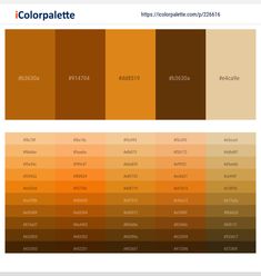 the color palette is shown with different colors in each section, including brown and yellow