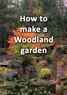 the words how to make a woodland garden