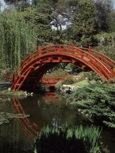 a red bridge over a pond in a park