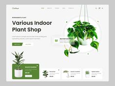 an image of a plant shop landing page