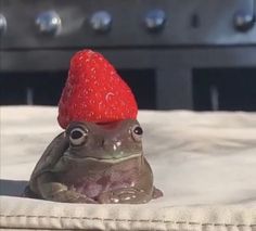 a frog with a strawberry hat on its head