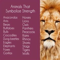 an image of animals that symbolize strength in the world with their names on it