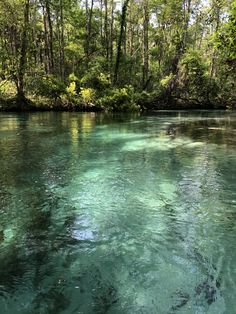 the water is very clear and blue with green trees in the backgrouds