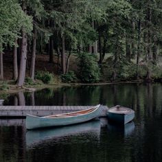 a boat sitting on top of a body of water next to a forest filled with trees