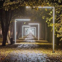 an empty walkway in the middle of a park at night with lights shining on it