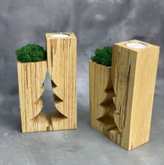 two wooden vases with small trees in them on a gray background, one is made out of wood and the other has moss