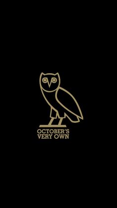 an owl is drawn on the side of a black car door with white lettering that says ovoxo