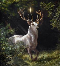 a painting of a white deer in the woods