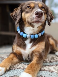 Blue Wood Beaded Dog Collar Diy Beaded Dog Necklace, Dog Beaded Collar, Dog Collar Beads, Diy Beaded Dog Collar, Diy Dog Necklace, Dog Collar Ideas, Dog Jewelry Collar, Dog Collar Diy Tutorials, Dog Necklace Collar