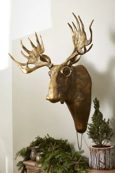 a deer head mounted to the side of a wall next to a potted plant