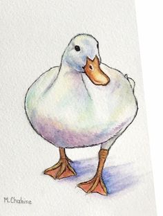 a watercolor painting of a white duck