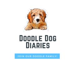 the logo for doodle dog diaries