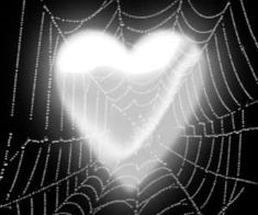 a spider web with a heart shaped light shining in it's center on a black background