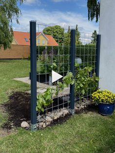 a garden with plants growing through the fence