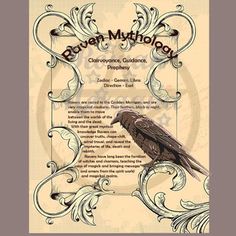 the certificate for morganna magick spell is displayed on an old parchment paper background