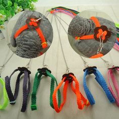 several different types of leashes with birds on them