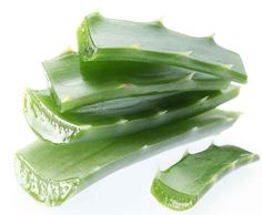 Aloe vera prevents hair loss and promotes hair growth: apply to scalp, leave on for 30 minutes, rinse out with water, repeat every 15 days. Help Hair Growth, Beauty Remedies, Promotes Hair Growth, Beauty Treatments, Grow Hair, Hair Health, Natural Hair Care, Hair Skin